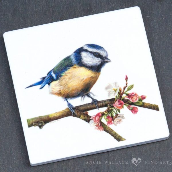 UK Garden Bird Collection - Blue Tit ceramic coaster by wildlife artist Angie.