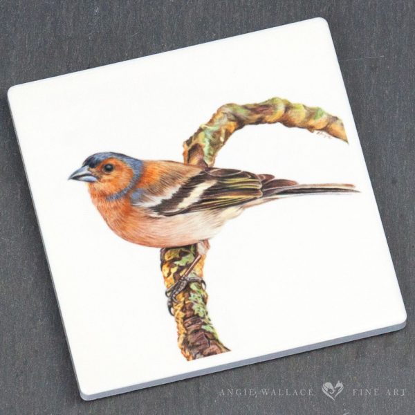 UK Garden Bird Collection - Chaffinch ceramic coaster by wildlife artist Angie.
