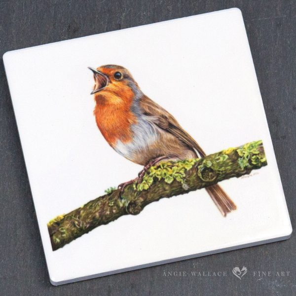 UK Garden Bird Collection - Robin ceramic coaster by wildlife artist Angie.