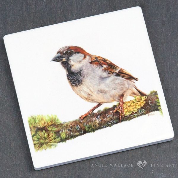 UK Garden Bird Collection - Sparrow ceramic coaster by wildlife artist Angie.