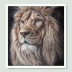 'Inkosi' Lion Portrait by Wildlife Artist Angie